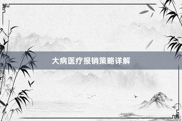 大病医疗报销策略详解