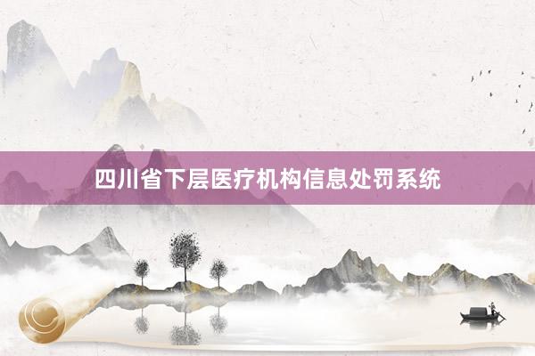 四川省下层医疗机构信息处罚系统