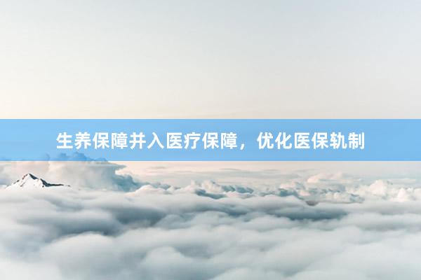 生养保障并入医疗保障，优化医保轨制
